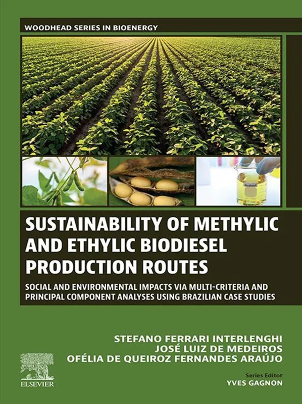 Sustainability of Methylic and Ethylic Biodiesel Production Routes: Social and Environmental Impacts via Multi-criteria and Principal Component Analyses using Brazilian Case Studies