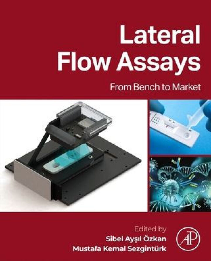 Lateral Flow Assays: From Bench to Market